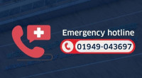 Emergency hotline introduced over Milestone jet crash 